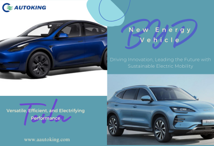 Tesla, BYD, Model Y, New Electric Vehicles
