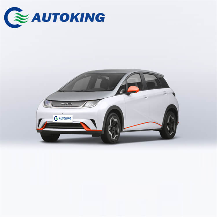 New Energy Vehicle Micro for BYD Dolphin