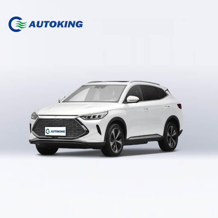 Very Popular Car BYD Song Plus DM-i from Autoking